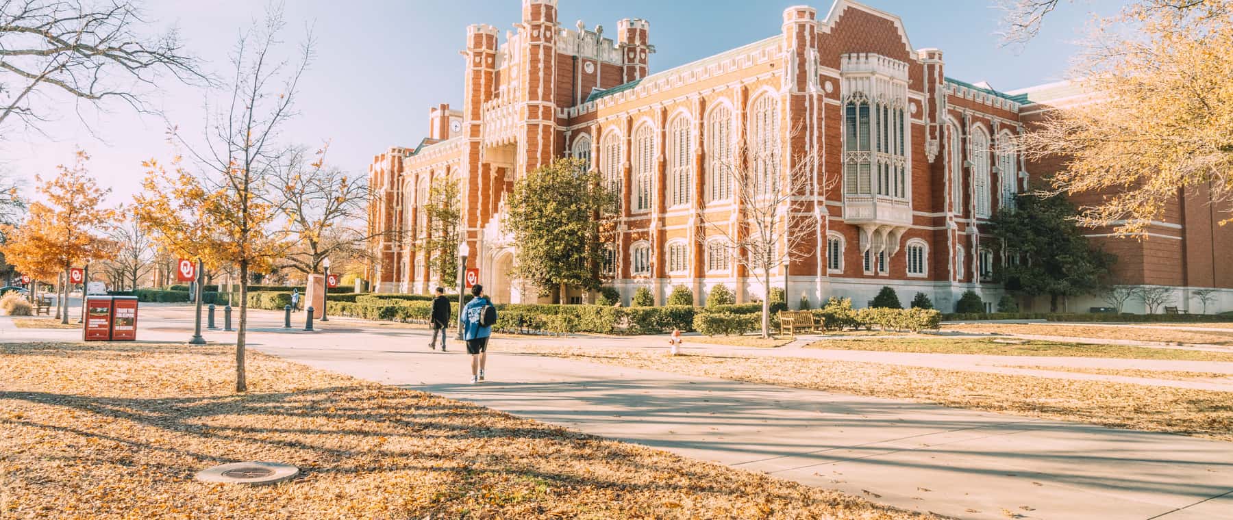 Students walking along a sunlit university campus path
